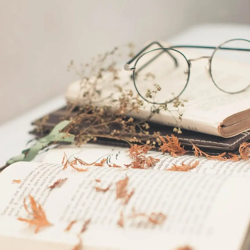silver framed eyeglasses on top of open books